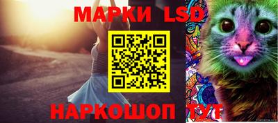 прущий лед Донецк
