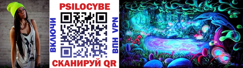 Псилоцибиновые грибы Cubensis  Заринск 