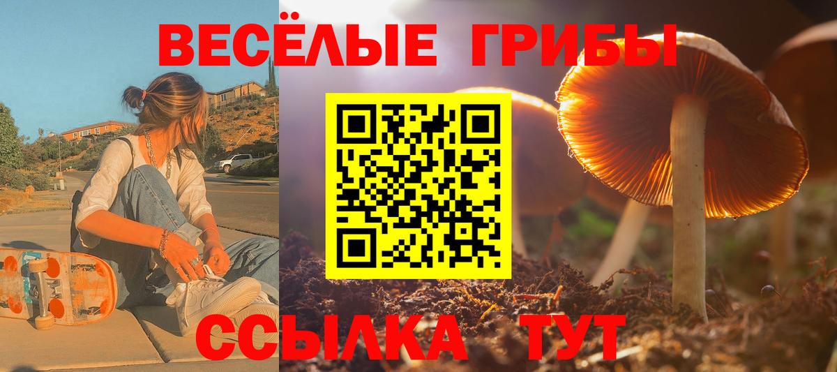 Псилоцибиновые грибы мухоморы  где можно купить наркотик  Заринск  Вход с VPN  Псилоцибиновые грибы Psilocybine cubensis 