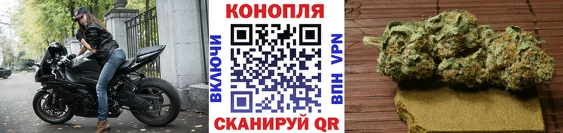 Бошки марихуана ГИДРОПОН  Заринск 